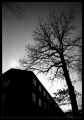 Contre-jour700.jpg