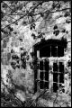 Dernières_Chartreuse039700~0.jpg