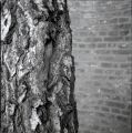 img404+.jpg