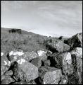 img432.jpg