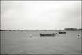 IMG0104b.jpg