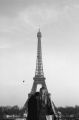 Paris.jpg