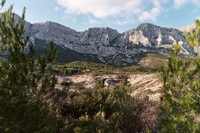 022_22
Mots-clés: Sainte Victoire, pins