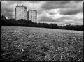 img008v2.jpg