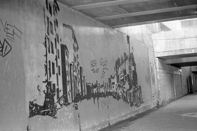 img101.jpg