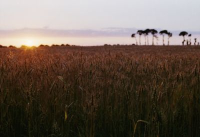 Crépuscule
