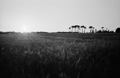 Crépuscule
