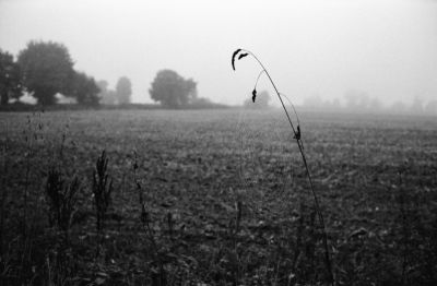 Matin frileux
