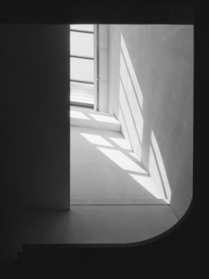¤
