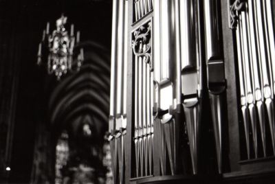 img003.jpg