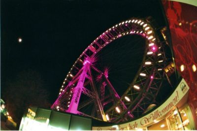 img010.jpg