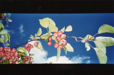img021.jpg