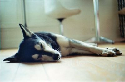 img044.jpg