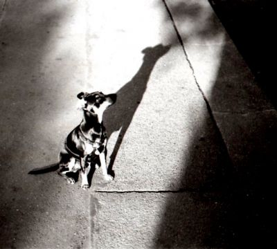 img094.jpg