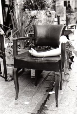 img113.jpg
