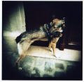 img057.jpg
