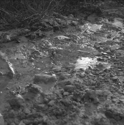 Carrière de roissiat 5
Minolta Autocord CDS - Kodak T-Max - développé à Gris Souris à Lyon (France) - Epson V500 
