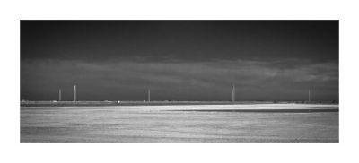 Camargue__20110828_0087_recadré_02_web.jpg