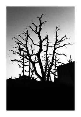 Hotel_de_ville_OM4_triX_02.jpg