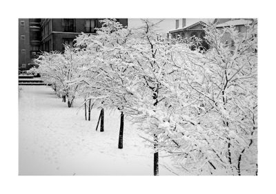 Hotel_de_ville_neige_OM4_triX_01.jpg