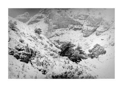 Sugiton_neige_OM4_TriX_04.jpg
