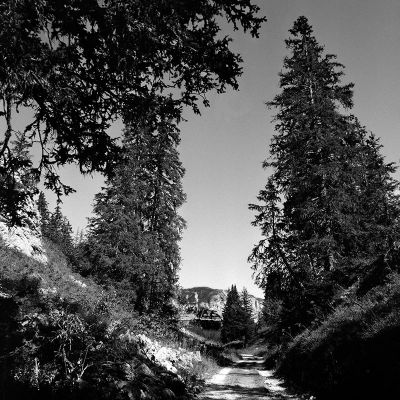 Vercors_201208_Foma200_Xtoll_1+1_PF__Xtol1+1_Film7_009.jpg