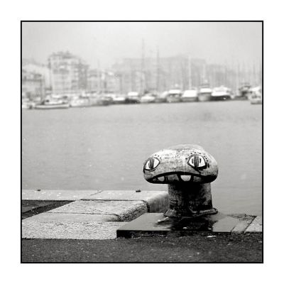 Vx_Port_20120208_foma100_010.jpg