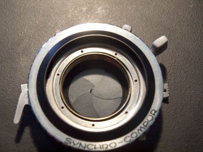 _7250080.jpg
