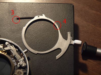 _7250090.JPG