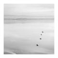Berre_20111211_acros100_0001.jpg