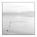 Berre_20111211_acros100_0010.jpg