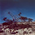 Bertagne_velvia100F_01-01-2012_011.jpg
