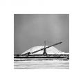 Cheval_aigues_mortes_foma100@100_Xtol_1+1_Film2_010_35mm.jpg