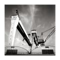 La_ciotat_grues_2012022_Blad_Tmax400_Xtol11_006.jpg