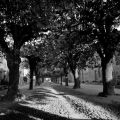 Saint_Antoine_201208_Foma100_Xtoll_1+1_002.jpg