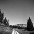 Nom du fichier=Vercors_201208_Foma200_Xtoll_1+1_PF__Xtol1+1_Film7_010.jpg
Taille du fichier=120Ko
Dimensions : 800x800
Ajouté le : 07 Septembre 2012 Vercors_201208_Foma200_Xtoll_1+1_PF__Xtol1+1_Film7_010.jpg