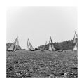 Voiles_vx_port_20120616_Tmax400_xtol11_film1_007.jpg
