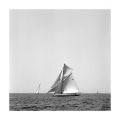 Voiles_vx_port_20120616_foma100@200_film3_011.jpg
