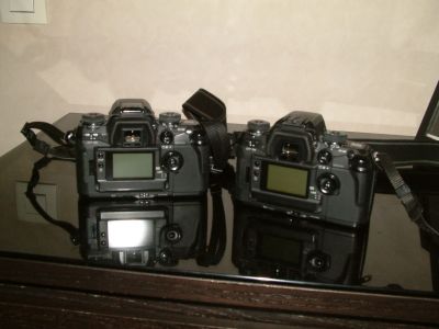 Dynax 7 de dos
