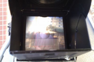 IMAG0220.jpg