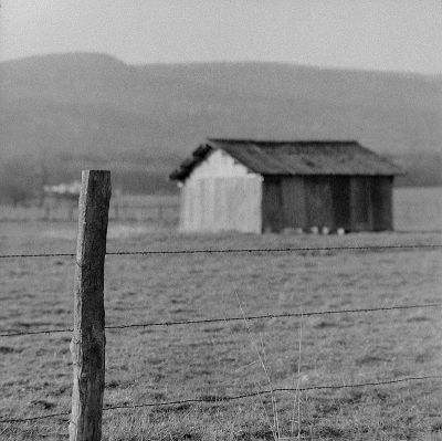 500CM 
Sonnar 150
HP5
