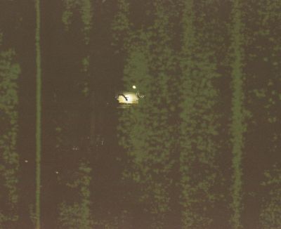 3950-01_01.jpg