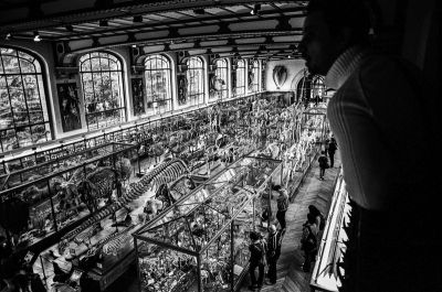 Quel bazar!!!
Mots-clés: Nikon F4S