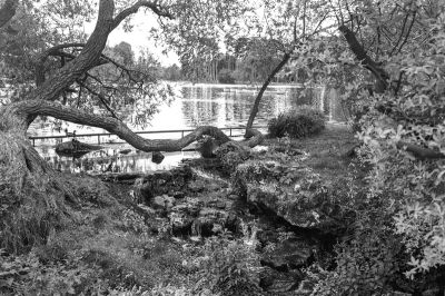 Bois de Boulogne
Mots-clés: Nikon FE