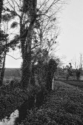 le ruisseau
Mots-clés: Nikon F4S