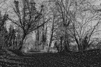 Les sous bois d'hiver
Mots-clés: Nikon F4S