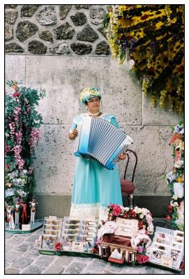 l'accordeoniste
