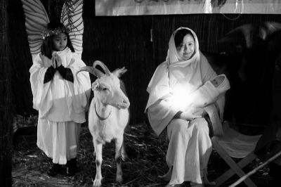 creche vivante
