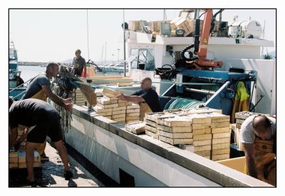 retour de pêche
Mots-clés: NIKON F