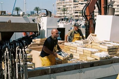 Retour de pêche
Mots-clés: Nikon F